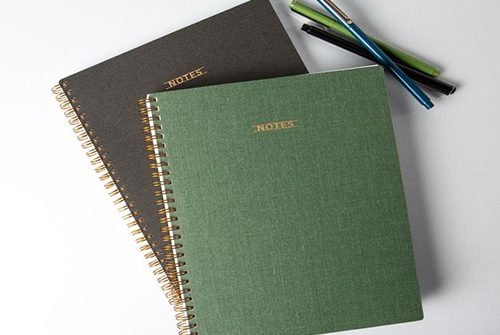diary11 diary11